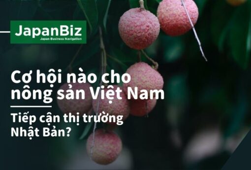 Cơ hội cho nông sản Việt Nam vào Nhật Bản