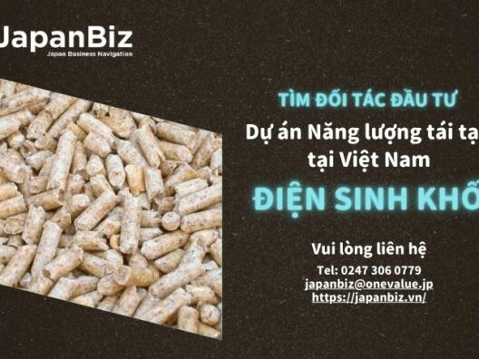 Tìm đối tác đầu tư điện sinh khối