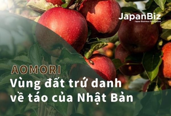 Aomori - vùng đất táo Nhật Bản