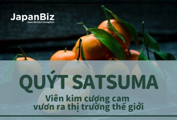 Quýt Satsuma