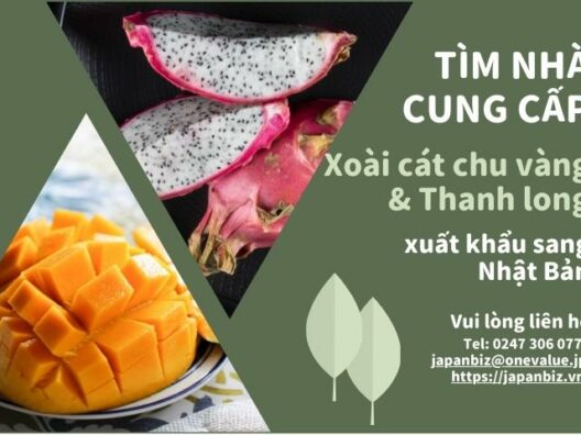 Tim-nha-cung-cap-xoai-cat-chu-vang-va-thanh-long