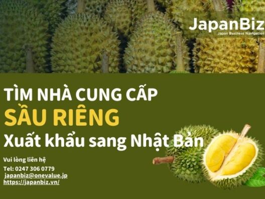 Tìm nhà cung cấp sầu riêng