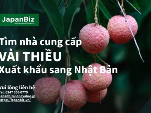 tim-nha-cung-cap-vai-thieu