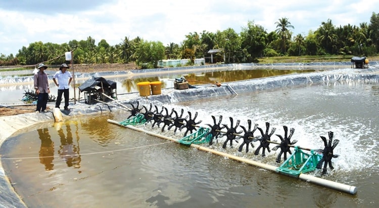 Ngành nuôi trồng thủy sản Việt Nam