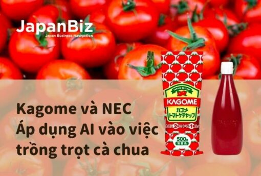 Kagome và NEC - Áp dụng AI vào việc trồng trọt cà chua  