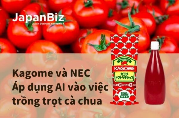 Kagome và NEC - Áp dụng AI vào việc trồng trọt cà chua  