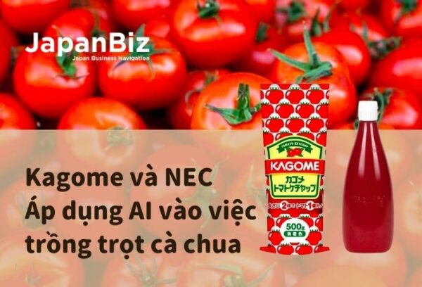 Kagome và NEC - Áp dụng AI vào việc trồng trọt cà chua  