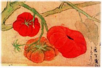 Tranh vẽ Cà chua của Kano Tanyu- họa sĩ của Shogun đời thứ 4 Tokugawa Ietsuna  
