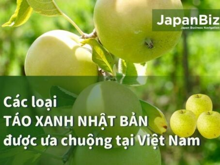 Các loại táo xanh Nhật Bản được ưa chuộng tại Việt Nam