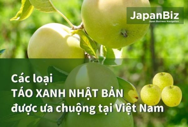 Các loại táo xanh Nhật Bản được ưa chuộng tại Việt Nam