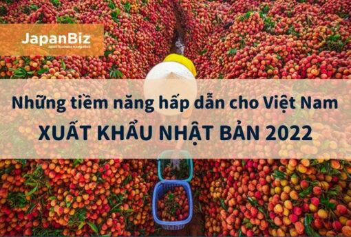 Những tiềm năng hấp dẫn cho Việt Nam xuất khẩu Nhật Bản 2022