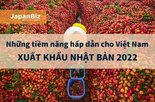 Những tiềm năng hấp dẫn cho Việt Nam xuất khẩu Nhật Bản 2022