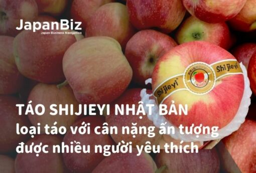 Táo Shijieyi Nhật Bản - loại táo với cân nặng ấn tượng được nhiều người yêu thích