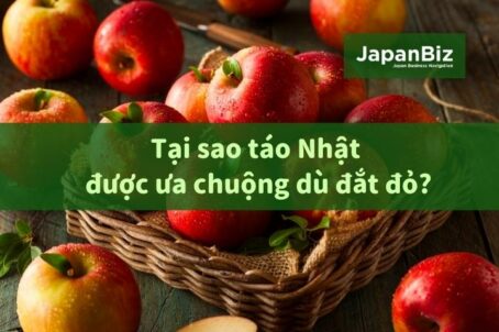 Tại sao táo Nhật được ưa chuộng dù đắt đỏ?