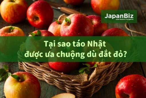 Tại sao táo Nhật được ưa chuộng dù đắt đỏ?