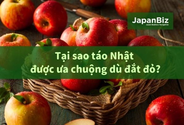 Tại sao táo Nhật được ưa chuộng dù đắt đỏ?