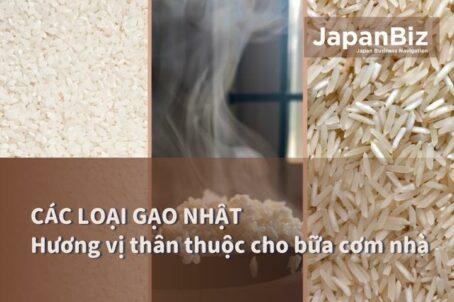 Các loại gạo Nhật - Hương vị thân thuộc cho bữa cơm nhà