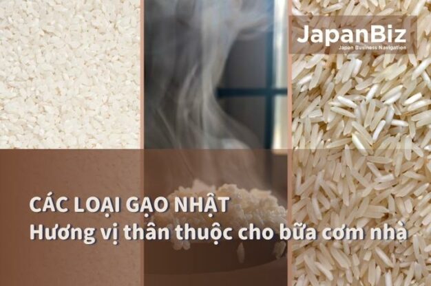 Các loại gạo Nhật - Hương vị thân thuộc cho bữa cơm nhà