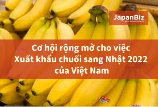 Cơ hội rộng mở cho việc xuất khẩu chuối sang Nhật 2022 của Việt Nam
