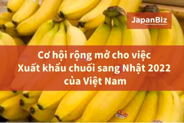Cơ hội rộng mở cho việc xuất khẩu chuối sang Nhật 2022 của Việt Nam