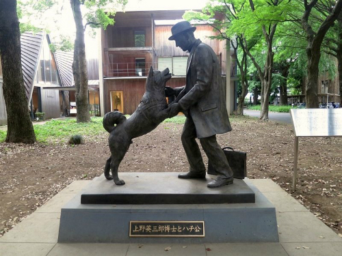 chu-cho-Hachiko-nhat-ban-2