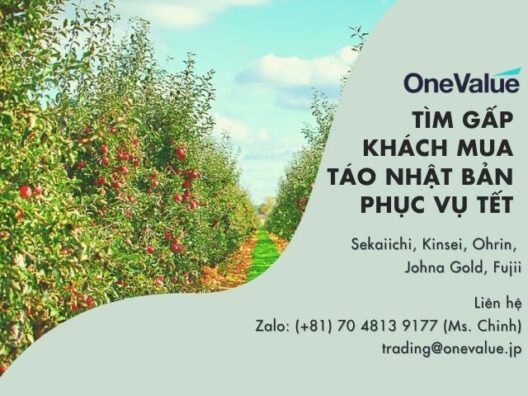 [GẤP] Tìm khách mua: táo Nhật (hàng phục vụ Tết)