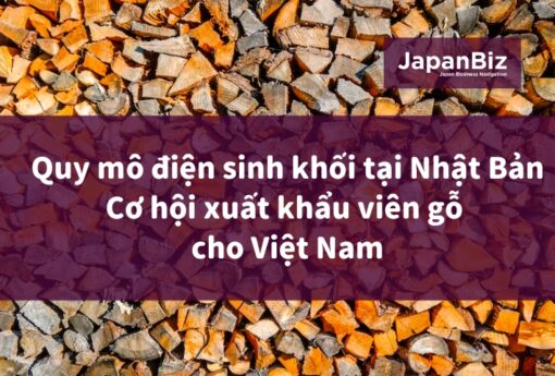 Quy mô điện sinh khối tại Nhật Bản - Cơ hội xuất khẩu viên gỗ cho Việt Nam