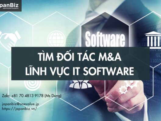 Tìm đối tác M&A: Lĩnh vực IT Software