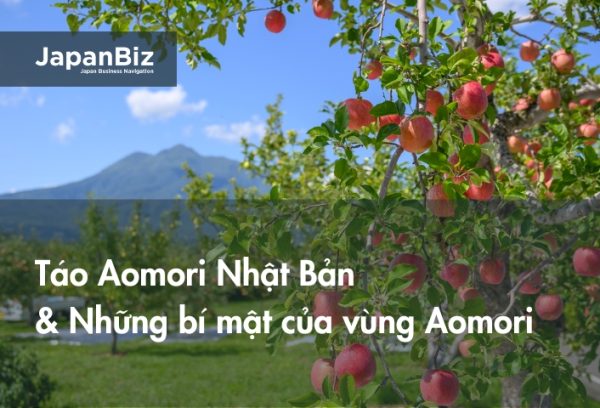 Táo Aomori Nhật Bản và những bí mật của vùng Aomori 