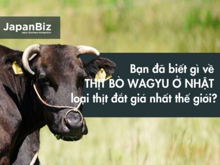 Bạn đã biết gì về thịt bò Wagyu ở Nhật - loại thịt đắt giá nhất thế giới?