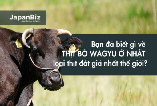 Bạn đã biết gì về thịt bò Wagyu ở Nhật - loại thịt đắt giá nhất thế giới?