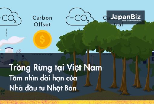 Trồng Rừng tại Việt Nam - Tầm nhìn dài hạn của nhà đầu tư Nhật Bản