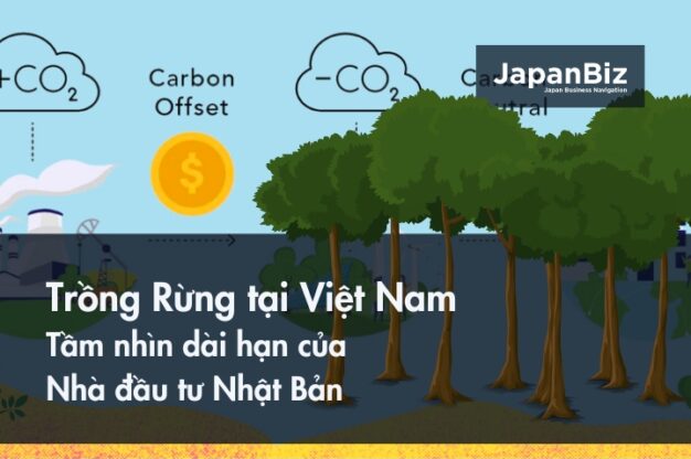 Trồng Rừng tại Việt Nam - Tầm nhìn dài hạn của nhà đầu tư Nhật Bản
