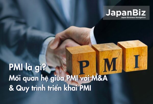 PMI là gì? Mối quan hệ giữa PMI với M&A và quy trình triển khai PMI