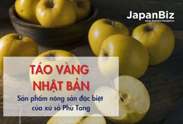 Táo Nhật màu vàng - Sản phẩm nông sản đặc biệt của xứ sở Phù Tang