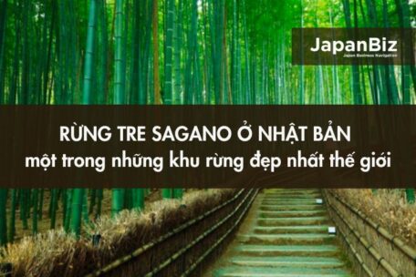 Rừng tre Sagano ở Nhật Bản - một trong những khu rừng đẹp nhất thế giới