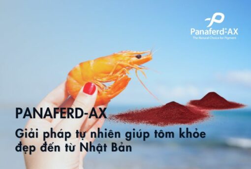 Panaferd-AX-giai-phap-cho-tom-khoe-dep-tu-Nhat-Ban