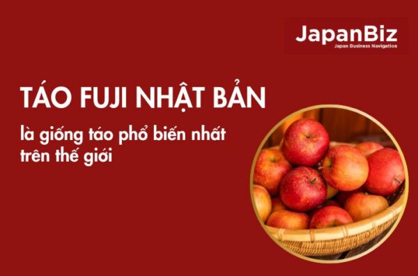 Táo Fuji Nhật Bản là giống táo phổ biến nhất trên thế giới