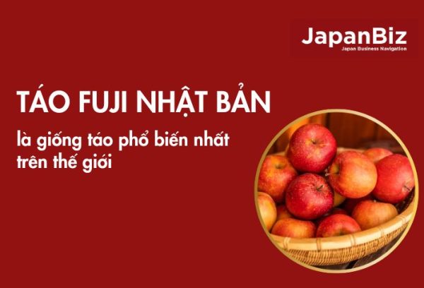 Táo Fuji Nhật Bản là giống táo phổ biến nhất trên thế giới