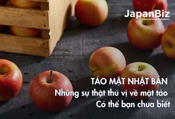 Táo mật Nhật Bản - Những sự thật thú vị về mật táo có thể bạn chưa biết