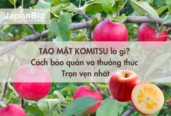 Táo mật Komitsu là gì? Cách bảo quản và thưởng thức táo mật trọn vẹn nhất