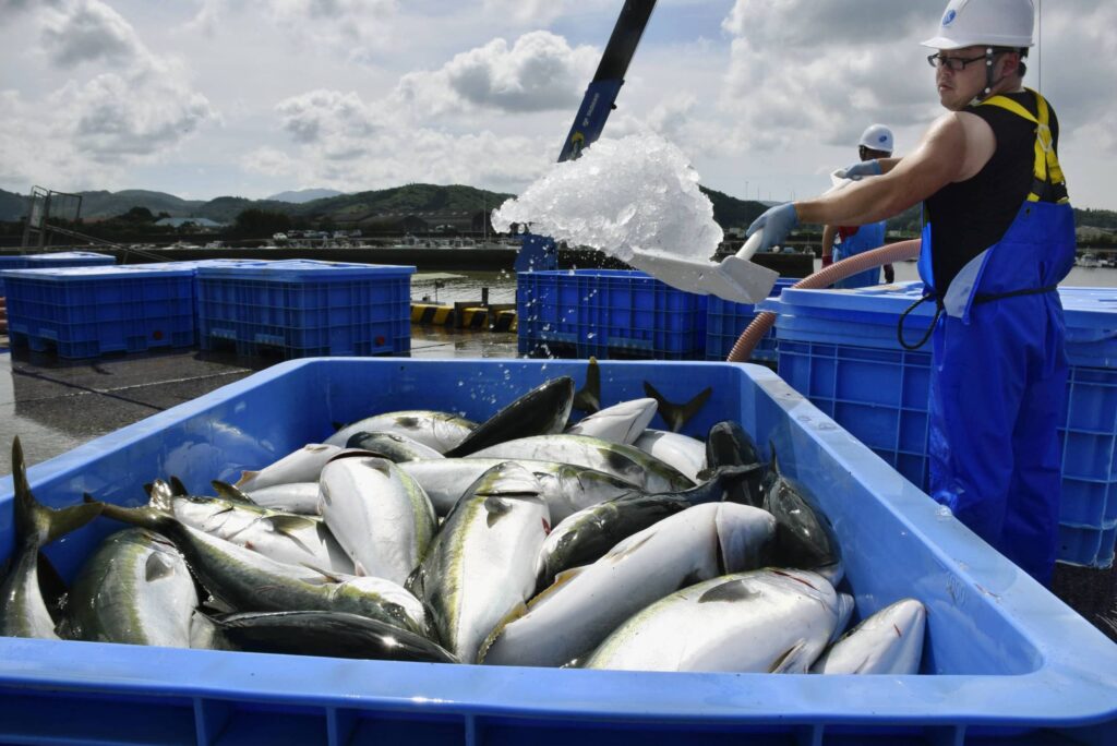 Xuất khẩu thủy sản và nông sản Nhật 2023 đạt mức cao kỷ lục 