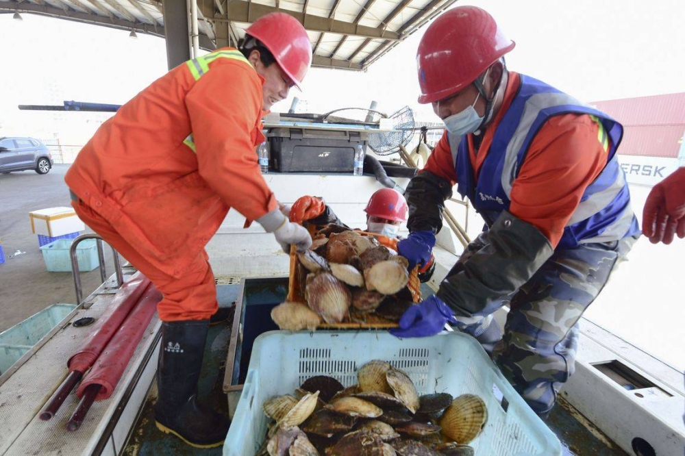 Chính phủ đã dành 80 tỷ yên (530 triệu USD) để hỗ trợ các nhà khai thác đánh bắt cá 