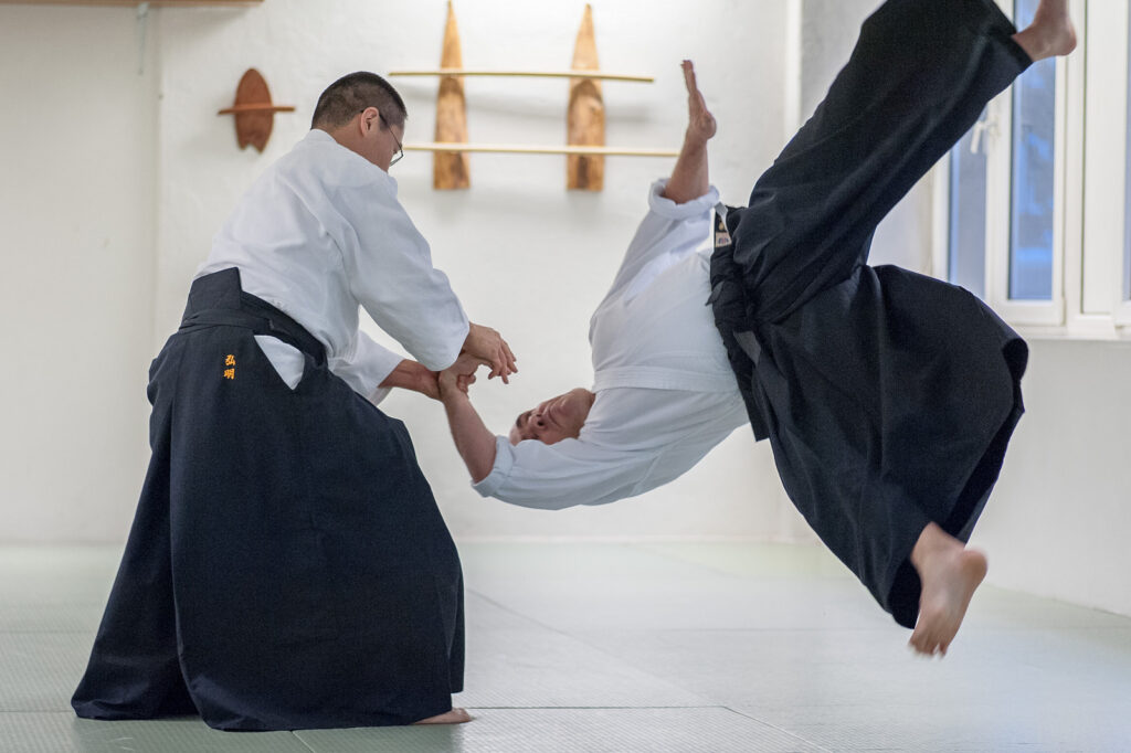 Các giải đấu võ Aikido ở Nhật Bản 