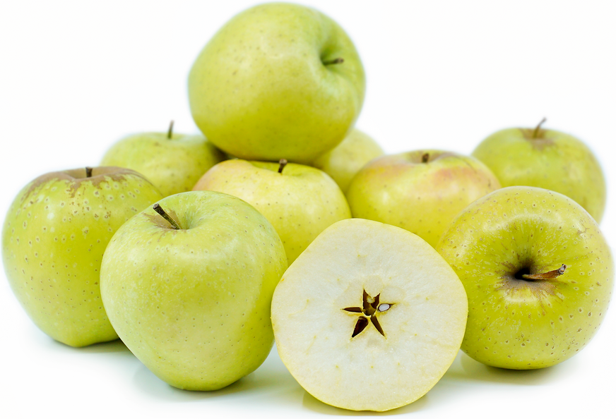 Orin Apples – Giống táo ngon từ tỉnh Aomori