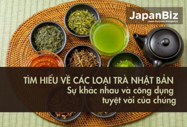 Tìm hiểu về các loại trà Nhật Bản khác nhau và công dụng tuyệt vời của chúng