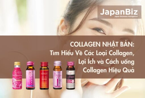 Collagen Nhật Bản: Tìm Hiểu Về Các Loại Collagen, Lợi Ích và Cách uống Collagen Hiệu Quả