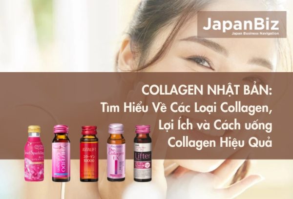 Collagen Nhật Bản: Tìm Hiểu Về Các Loại Collagen, Lợi Ích và Cách uống Collagen Hiệu Quả