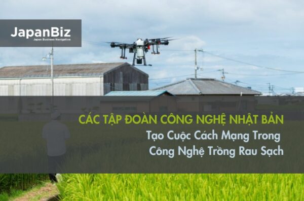 Các Tập Đoàn Công Nghệ Nhật Bản Tạo Cuộc Cách Mạng Trong Công Nghệ Trồng Rau Sạch