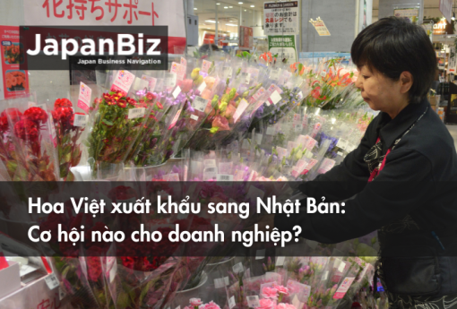 Hoa Việt xuất khẩu sang Nhật Bản Cơ hội nào cho doanh nghiệp